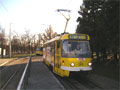 Vůz T3P č. 281 při jízdě STOP AIDS na konečné Bory 1. 12. 2005
Foto: Jiří Šplíchal