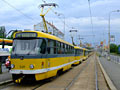 Kolona osmi tramvajových vlaků Pod Záhorskem 24. 6. 2008
