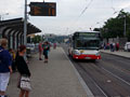 Autobusové linky stanicují v centrální tramvajové zastvce Sady Pětatřicátníků 13. 7. 2016