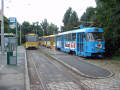 Odstavené tramvaje na konečné Bory - 14. 8. 2002 