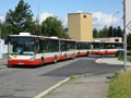 Autobusy náhradní dopravy linky č. 2A a jeden linky 24 ve ve Skrňanech 14. 7. 2012