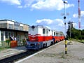 Vlak pionrsk eleznice v zastvce Szechenyi-hegy 26. 8. 2008