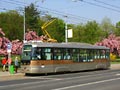 Vario LF plus č. 336 na Slovanech 24. 4. 2011